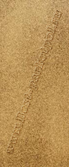 Чистый песок ― Ламинат, паркетная доска, межкомнатные двери