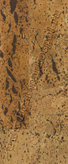 GND1100_C81