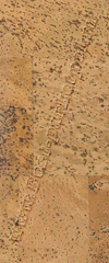 GND1100