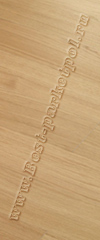 Дуб Ivory  brushed 12020 (доска однополосная) ― Ламинат, паркетная доска, межкомнатные двери