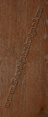 1398 R Дуб Тасмания
