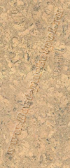 BL17009 Burl Pure