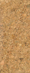 GND20