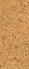 BJ24038 Quest 