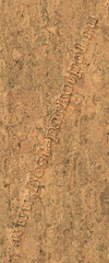 BJ30014 Vestige
