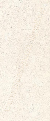 BLV3006 Lunar 