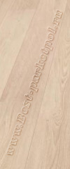 738 Дуб Хлопок
