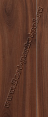 8810  Слива Красная Narrow  