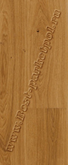 Дуб браш Classic   1428938 (доска однополосная)    ― Ламинат, паркетная доска, межкомнатные двери