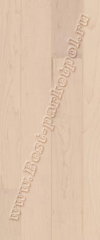 Клен канадский полар  Classic   1368985 (доска однополосная)  ― Ламинат, паркетная доска, межкомнатные двери