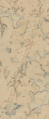 GND2400_M7M83