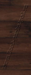 RIC1416  Клен Экзотический  