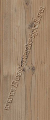 Сосна горная KI 100 PA 